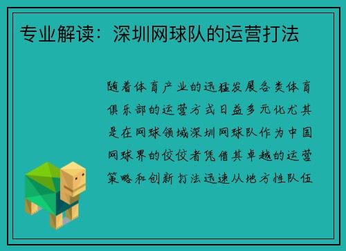专业解读：深圳网球队的运营打法