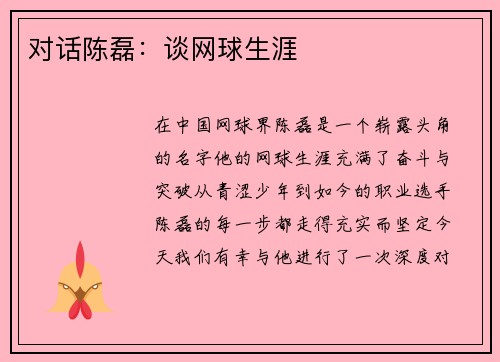 对话陈磊：谈网球生涯