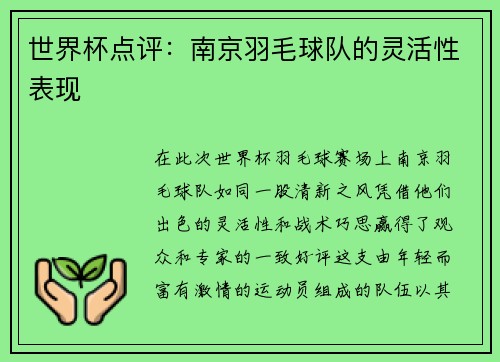 世界杯点评：南京羽毛球队的灵活性表现